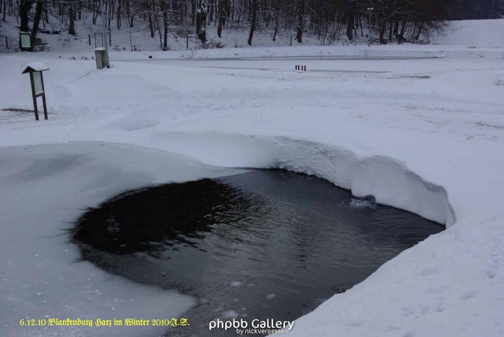 6.12.10 Winter in Blankenburg-Harz (17)