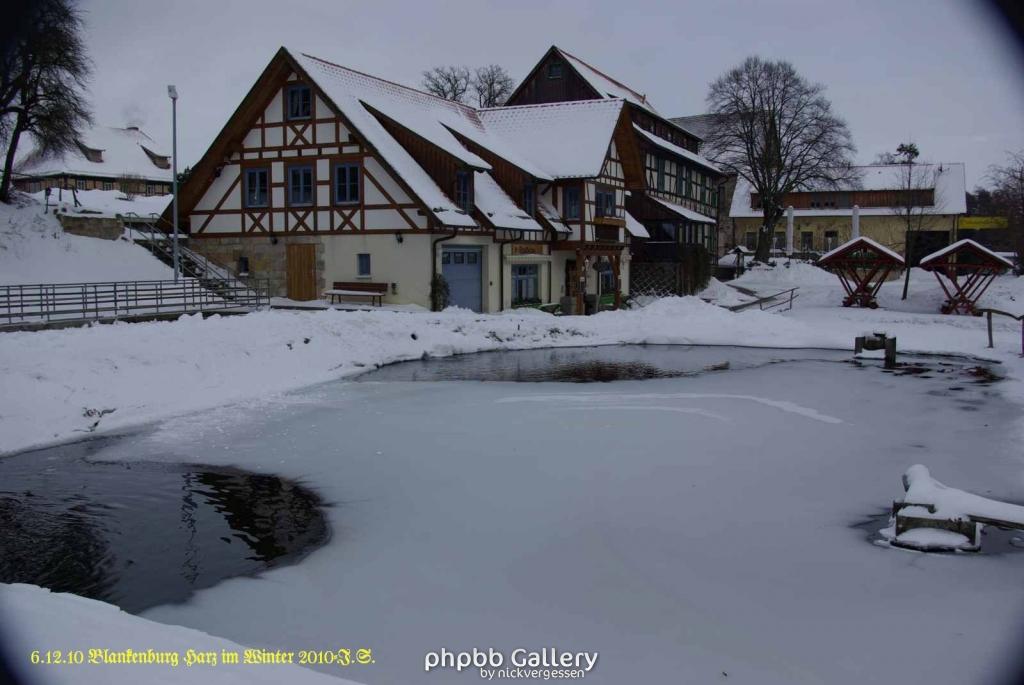 6.12.10 Winter in Blankenburg-Harz (18)