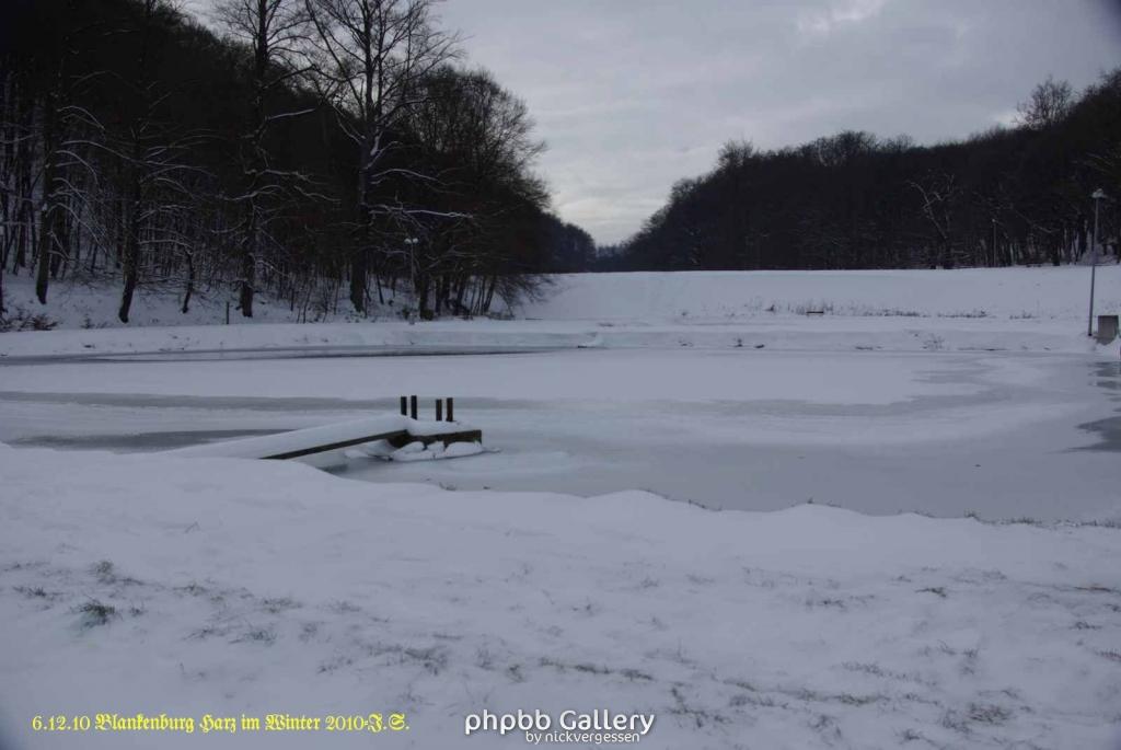6.12.10 Winter in Blankenburg-Harz (19)