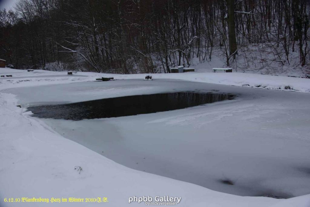 6.12.10 Winter in Blankenburg-Harz (20)