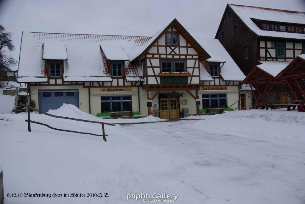 6.12.10 Winter in Blankenburg-Harz (21)