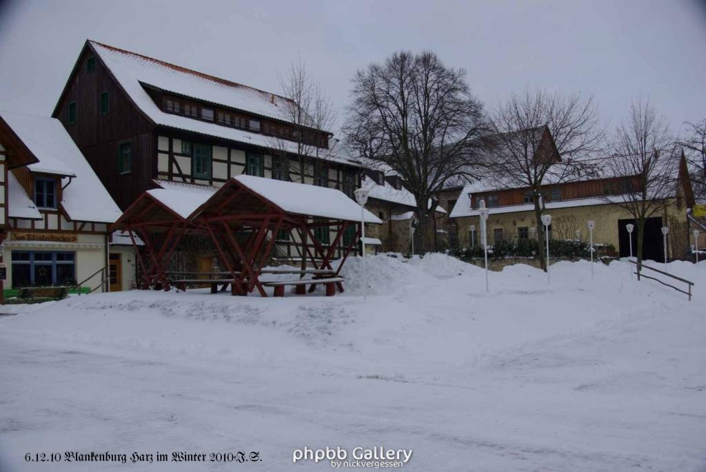 6.12.10 Winter in Blankenburg-Harz (22)