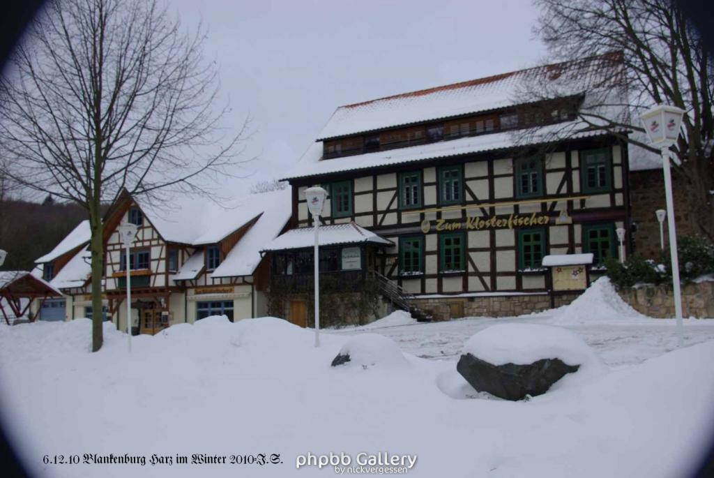 6.12.10 Winter in Blankenburg-Harz (23)