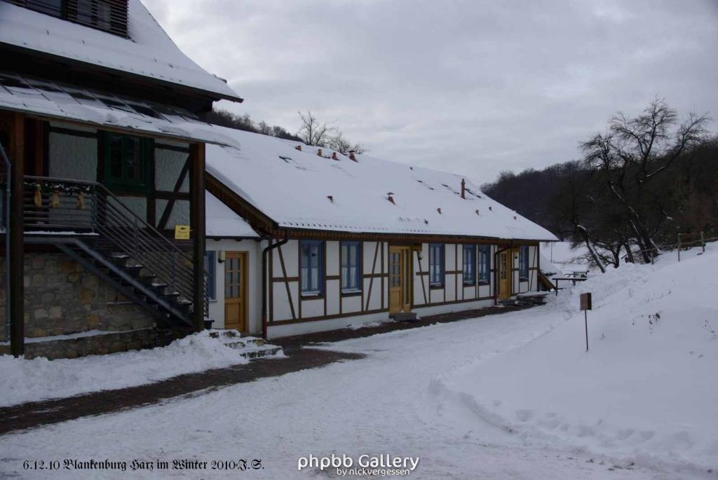 6.12.10 Winter in Blankenburg-Harz (24)