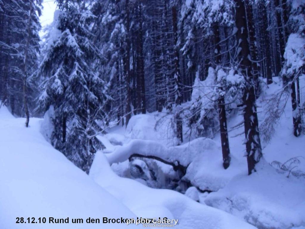 28.12.10 Rund um den Brocken-Harz (1)
