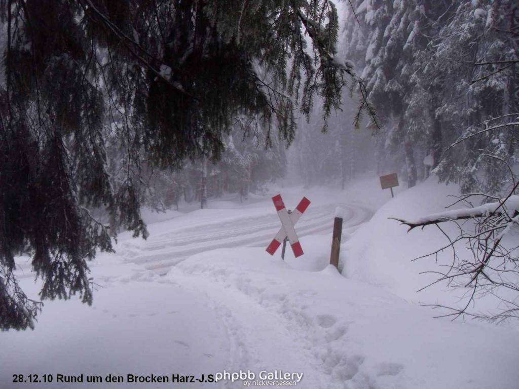 28.12.10 Rund um den Brocken-Harz (3)