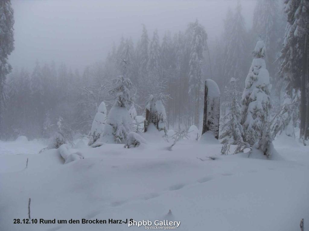 28.12.10 Rund um den Brocken-Harz (4)