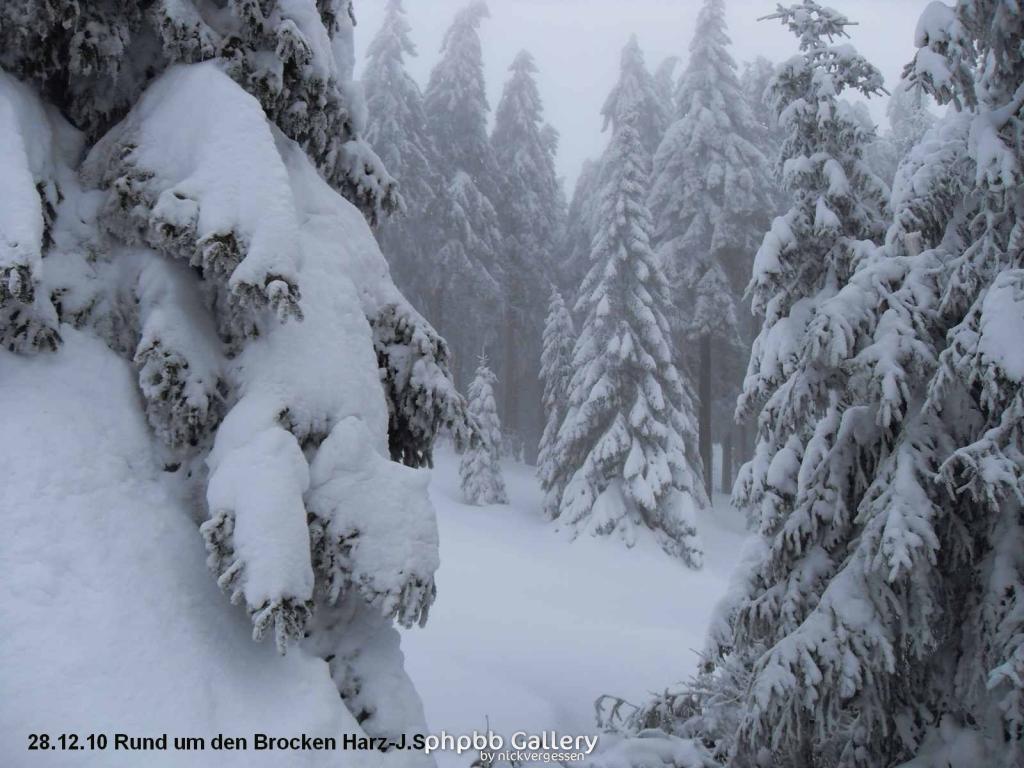 28.12.10 Rund um den Brocken-Harz (5)