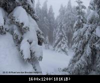 28.12.10 Rund um den Brocken-Harz (5)