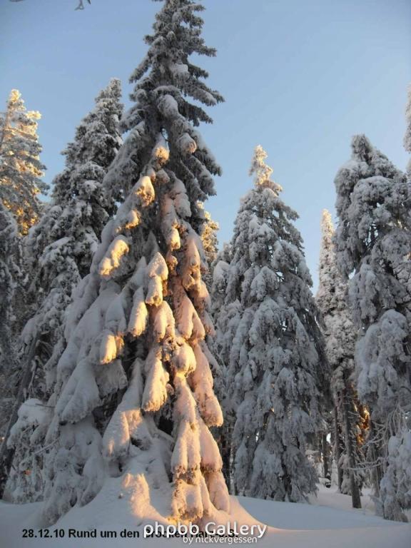 28.12.10 Rund um den Brocken-Harz (8)