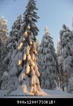 28.12.10 Rund um den Brocken-Harz (8)