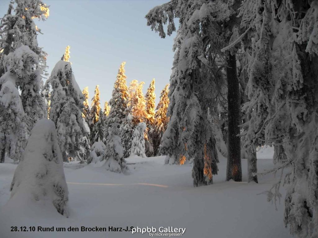28.12.10 Rund um den Brocken-Harz (9)