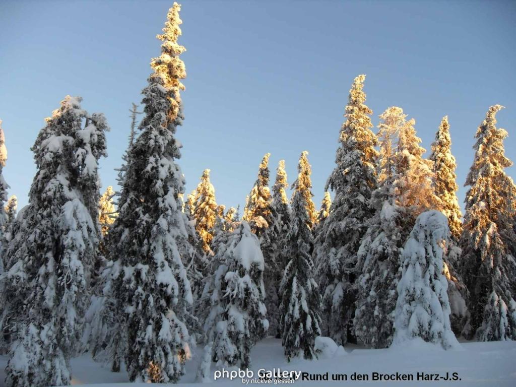 28.12.10 Rund um den Brocken-Harz (10)