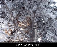 28.12.10 Rund um den Brocken-Harz (11)