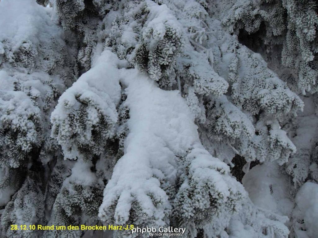28.12.10 Rund um den Brocken-Harz (12)