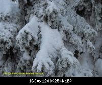 28.12.10 Rund um den Brocken-Harz (12)