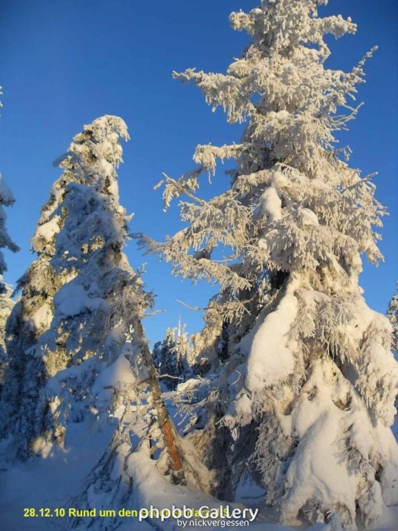 28.12.10 Rund um den Brocken-Harz (13)