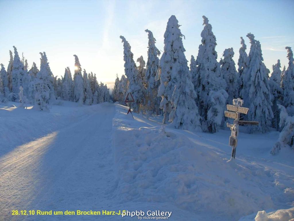 28.12.10 Rund um den Brocken-Harz (14)