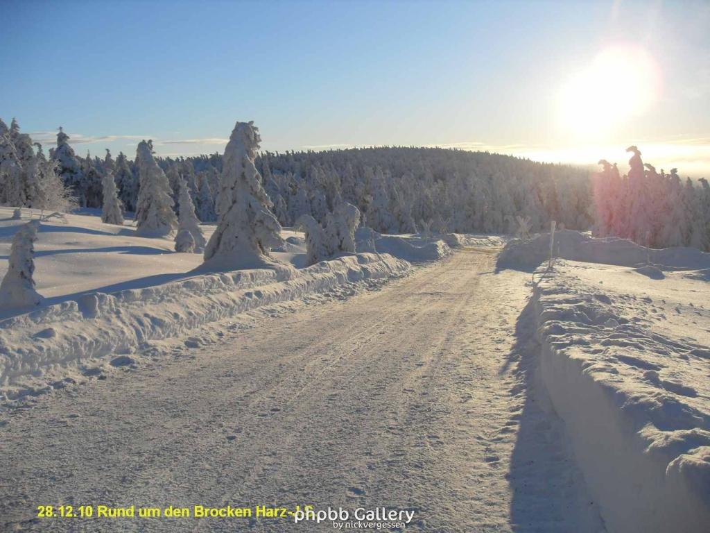 28.12.10 Rund um den Brocken-Harz (15)