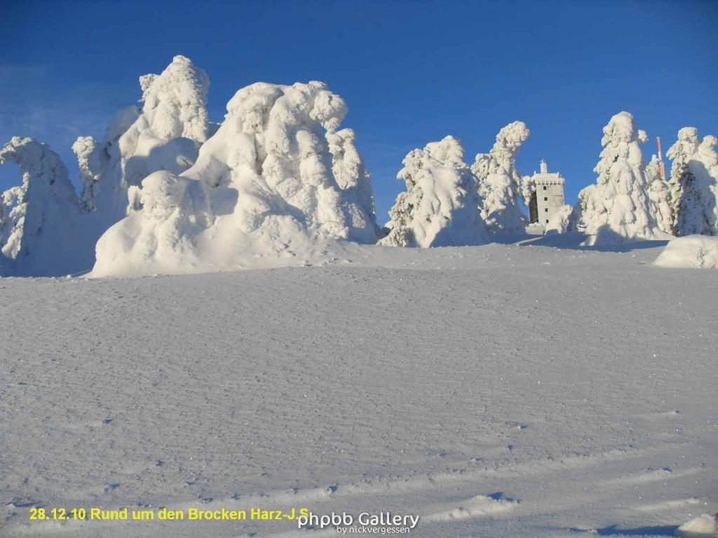 28.12.10 Rund um den Brocken-Harz (16)