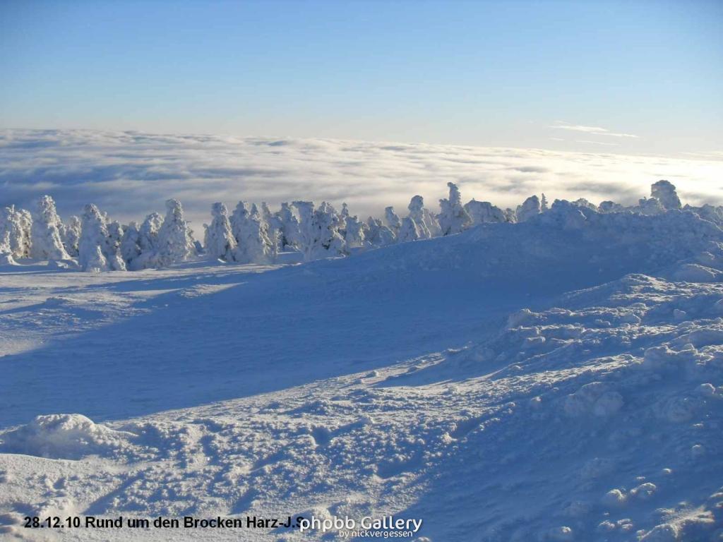 28.12.10 Rund um den Brocken-Harz (18)