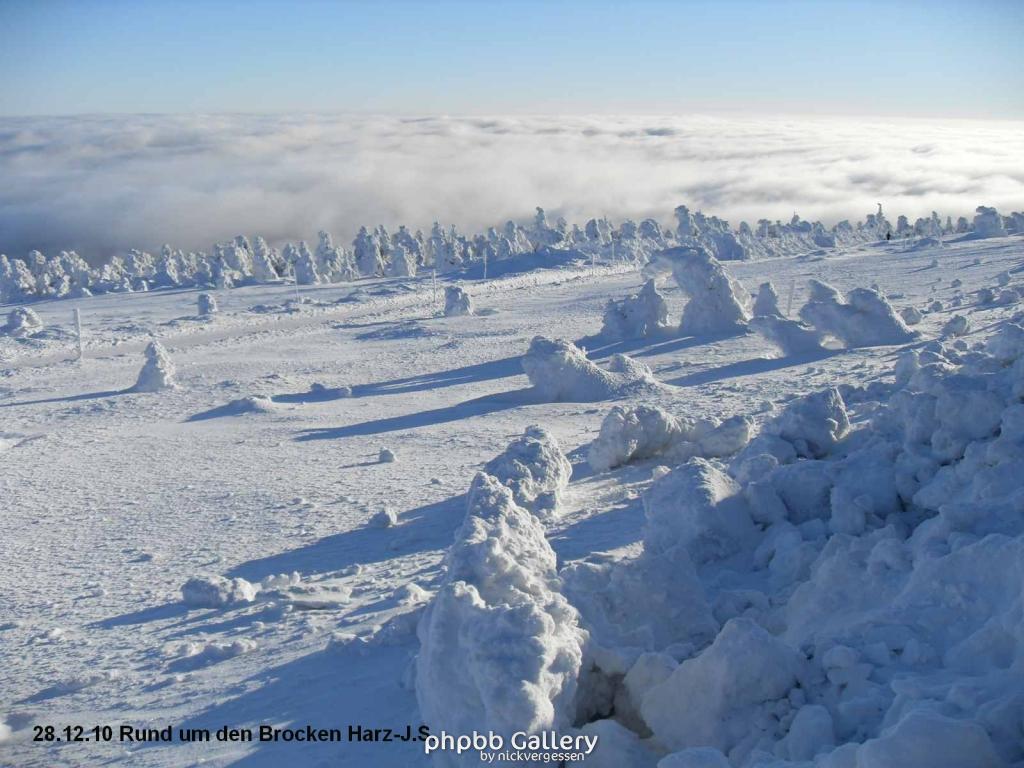 28.12.10 Rund um den Brocken-Harz (21)