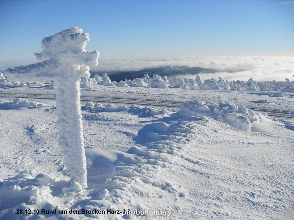 28.12.10 Rund um den Brocken-Harz (33)