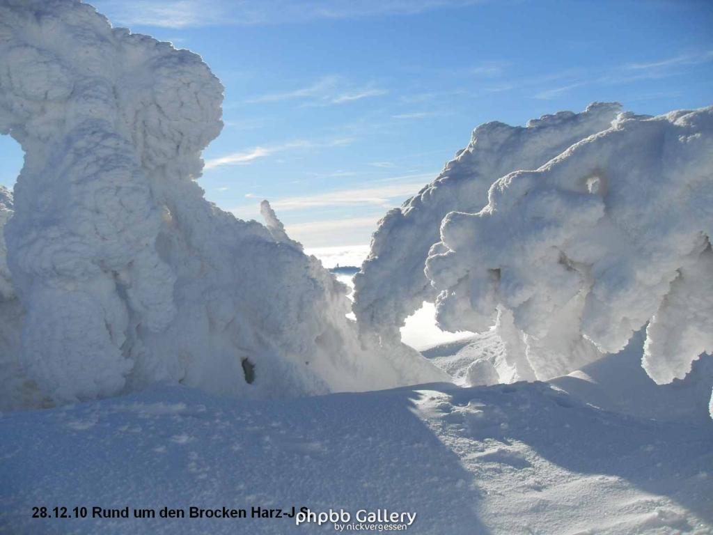 28.12.10 Rund um den Brocken-Harz (43)