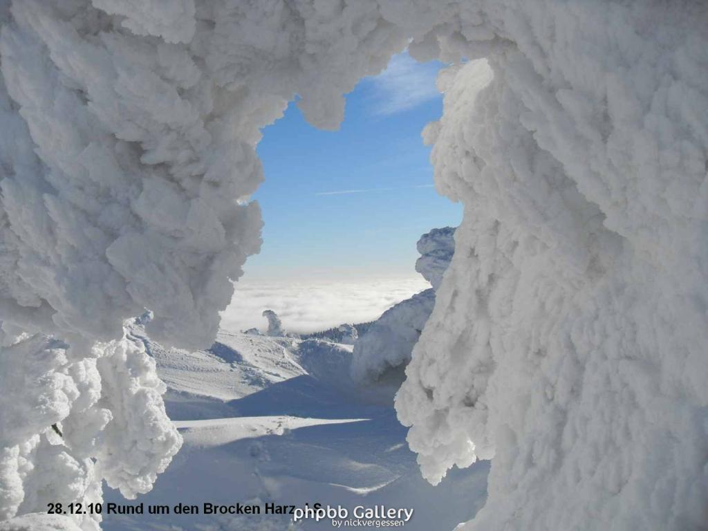 28.12.10 Rund um den Brocken-Harz (44)