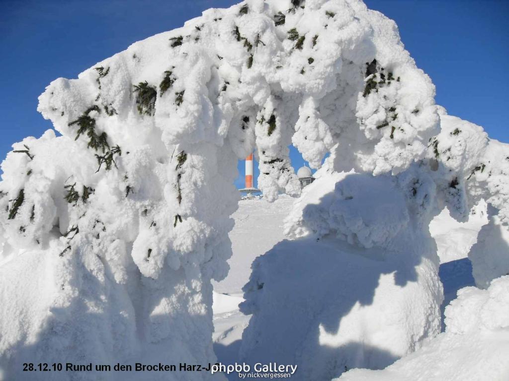 28.12.10 Rund um den Brocken-Harz (45)