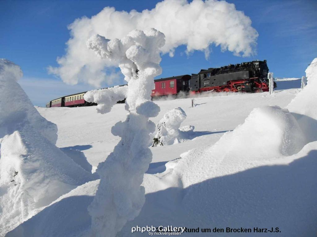 28.12.10 Rund um den Brocken-Harz (47)