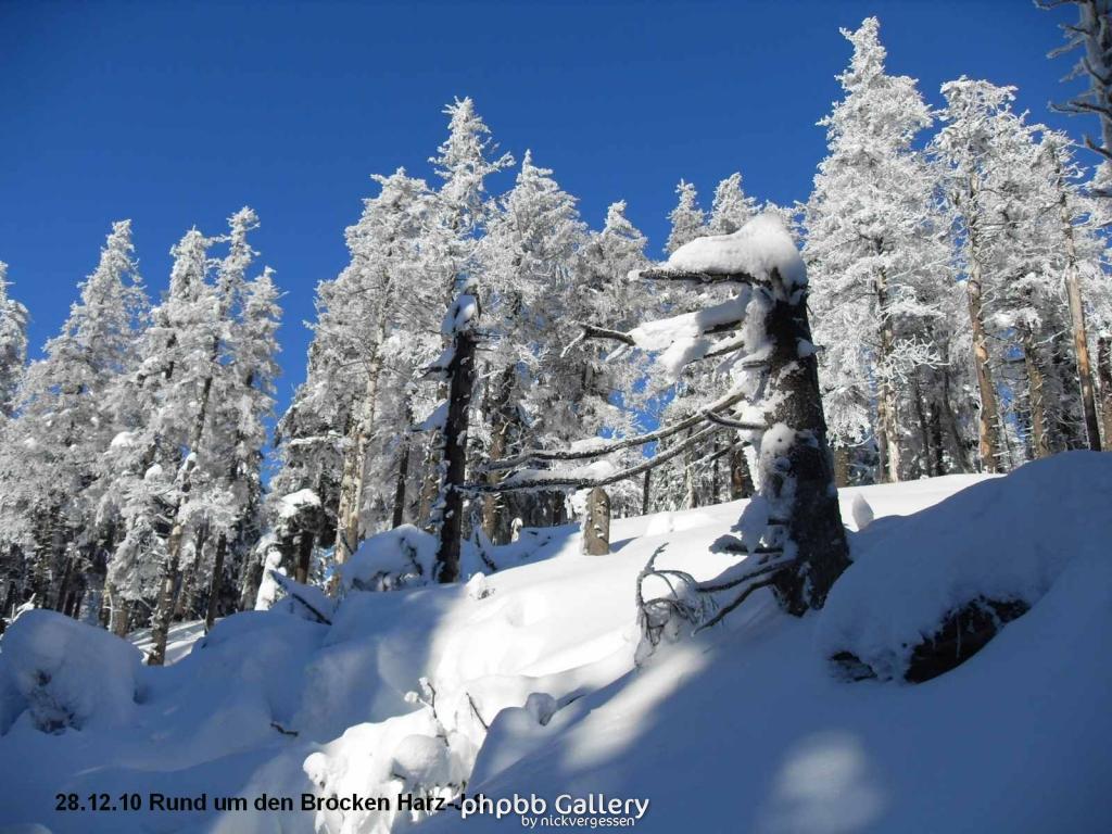28.12.10 Rund um den Brocken-Harz (50)