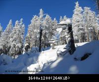 28.12.10 Rund um den Brocken-Harz (50)