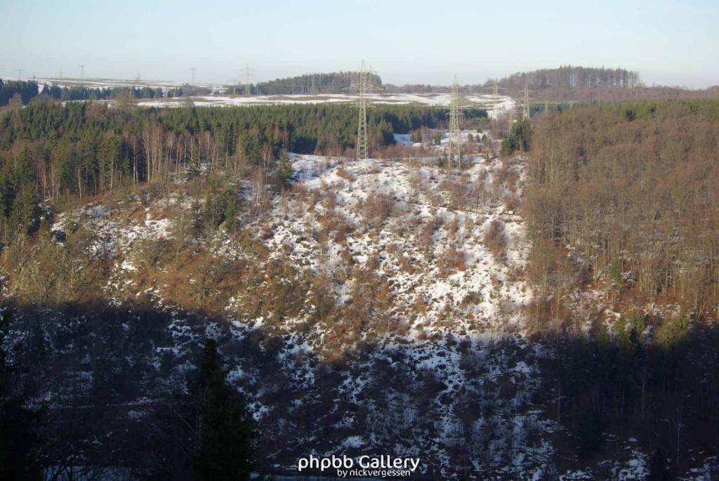 10.01.11 Zwischen Rappbode u.Wendefurthertalsperre-Harz