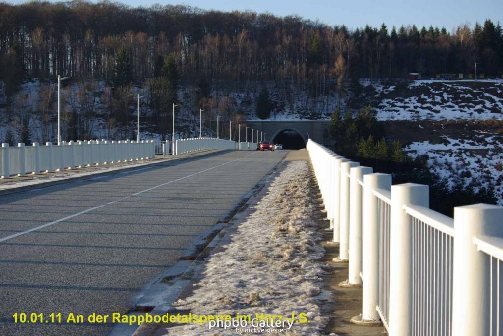 10.01.11 An der Rappbodetalsperre Harz (1)