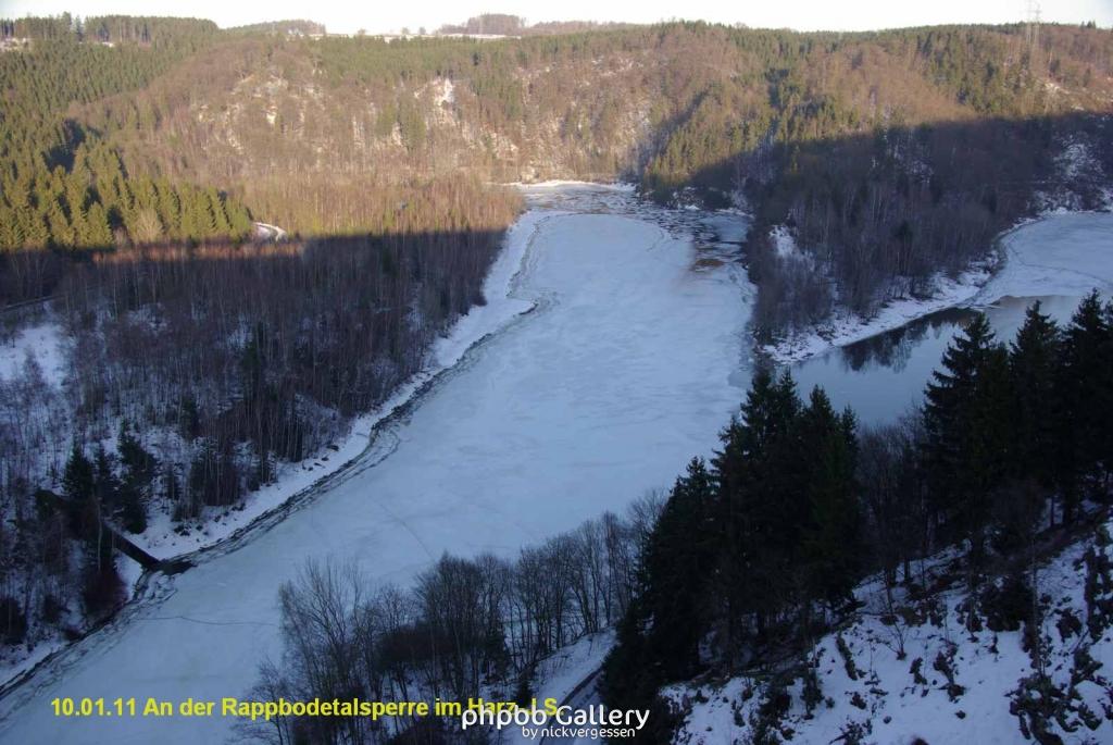 10.01.11 An der Rappbodetalsperre Harz (7)
