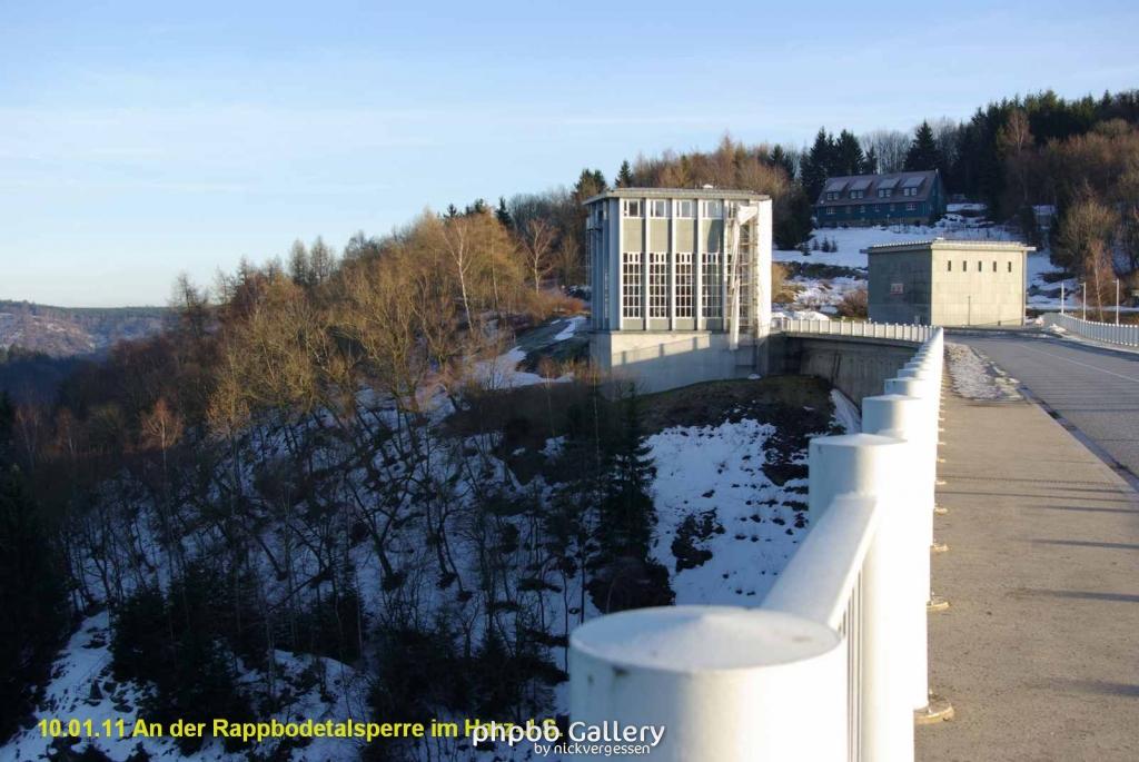 10.01.11 An der Rappbodetalsperre Harz (9)