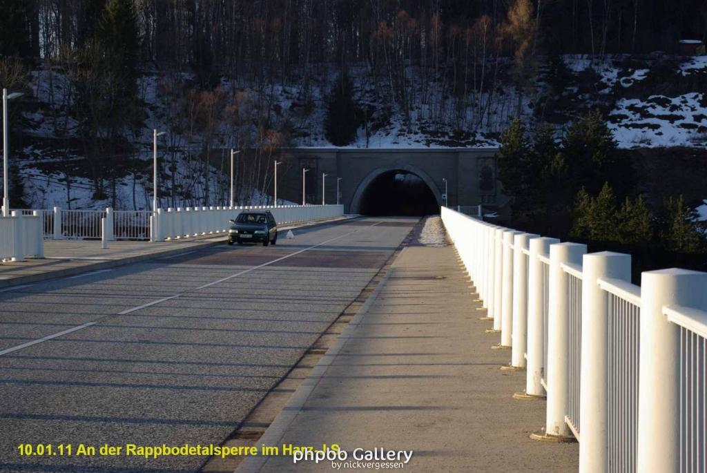 10.01.11 An der Rappbodetalsperre Harz (10)