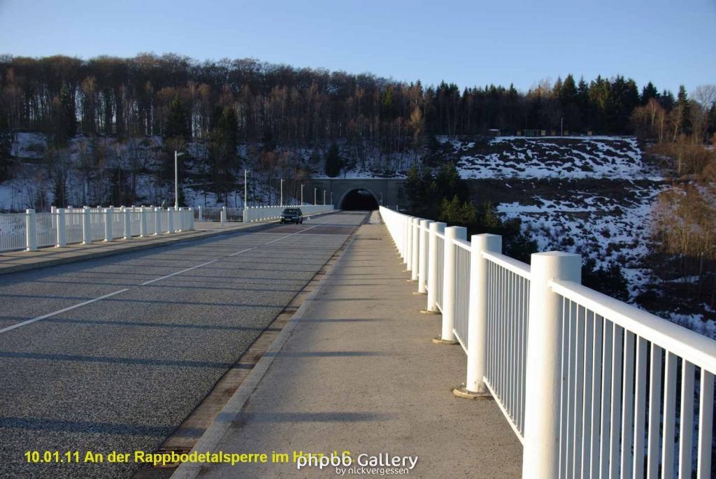 10.01.11 An der Rappbodetalsperre Harz (11)