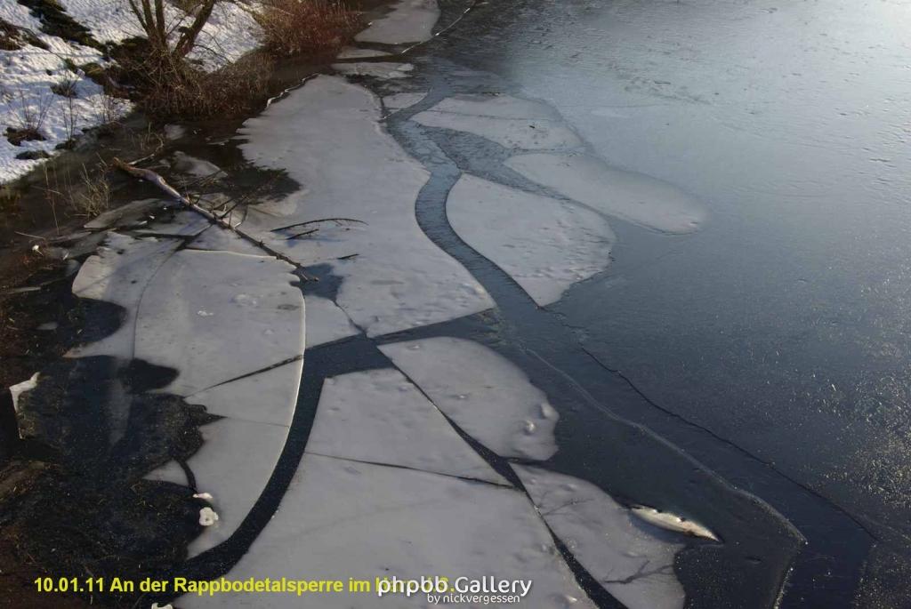 10.01.11 An der Rappbodetalsperre Harz (14)
