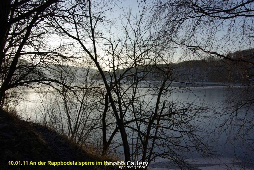 10.01.11 An der Rappbodetalsperre Harz (15)