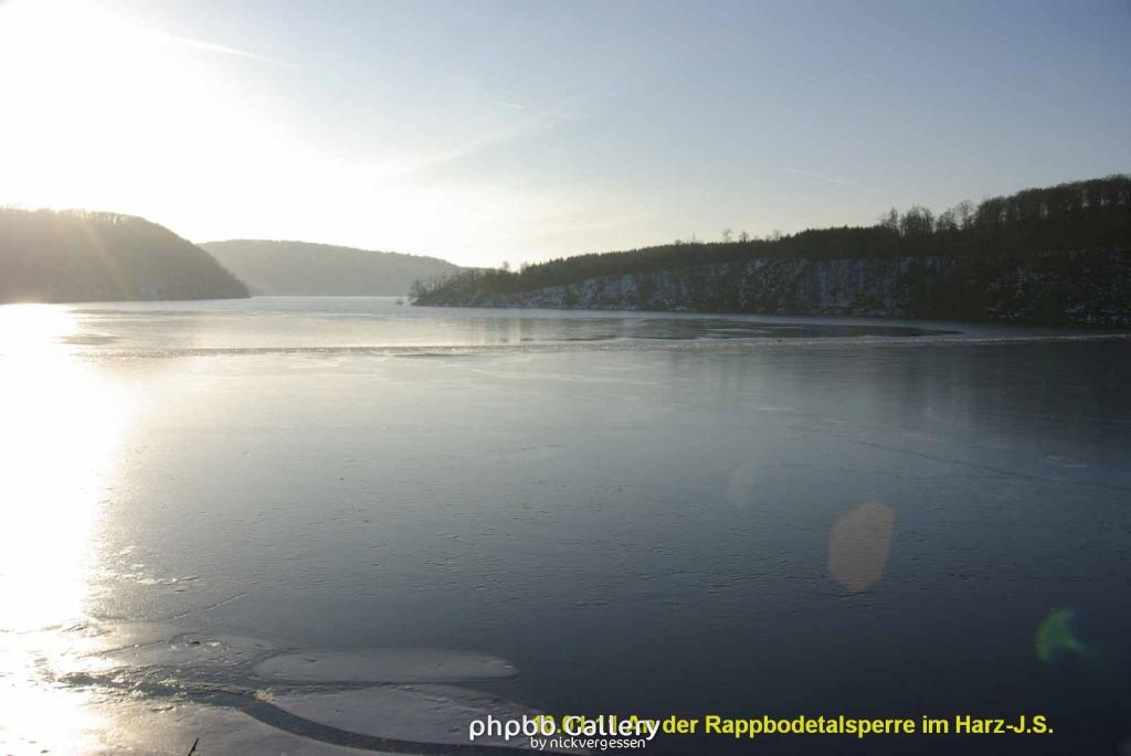 10.01.11 An der Rappbodetalsperre Harz (16)