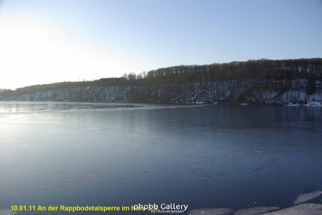 10.01.11 An der Rappbodetalsperre Harz (17)