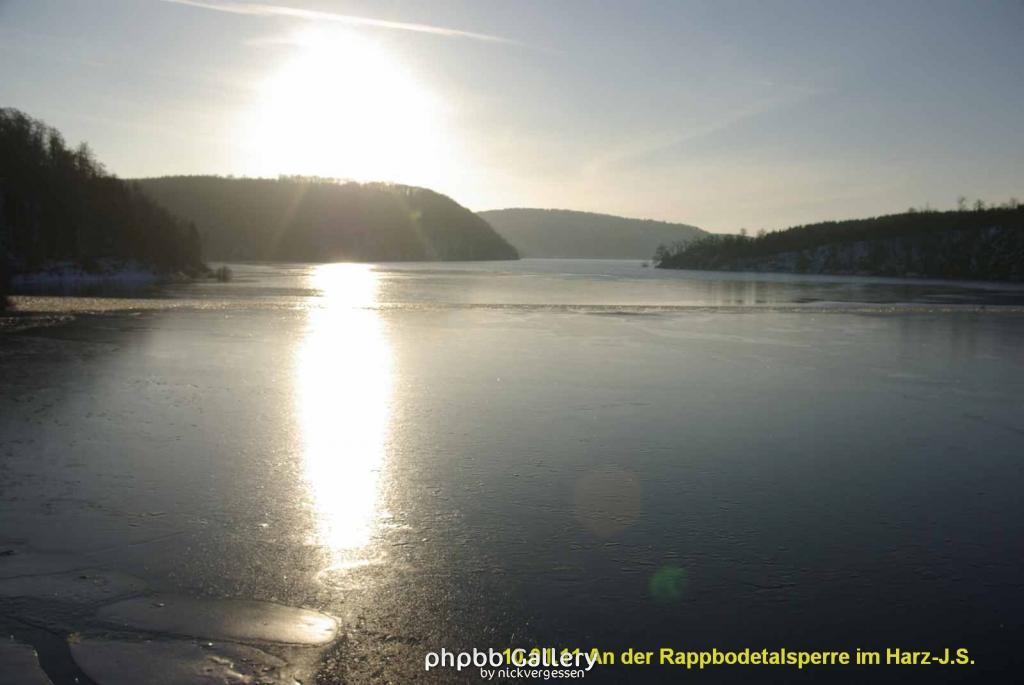10.01.11 An der Rappbodetalsperre Harz (18)