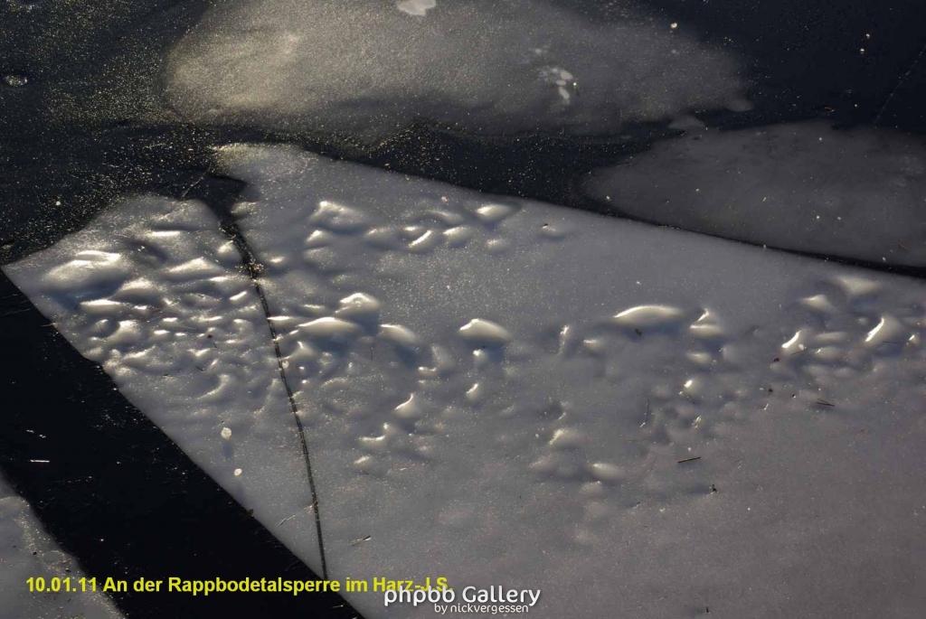 10.01.11 An der Rappbodetalsperre Harz (19)