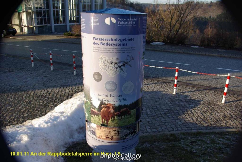 10.01.11 An der Rappbodetalsperre Harz (20)