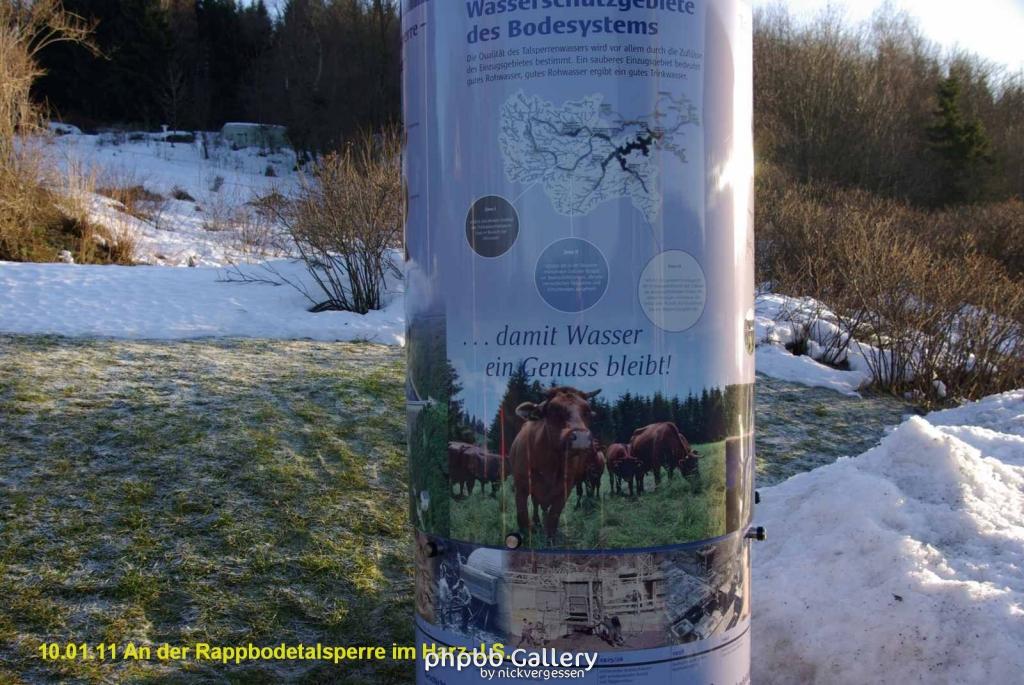 10.01.11 An der Rappbodetalsperre Harz (22)