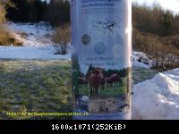 10.01.11 An der Rappbodetalsperre Harz (22)