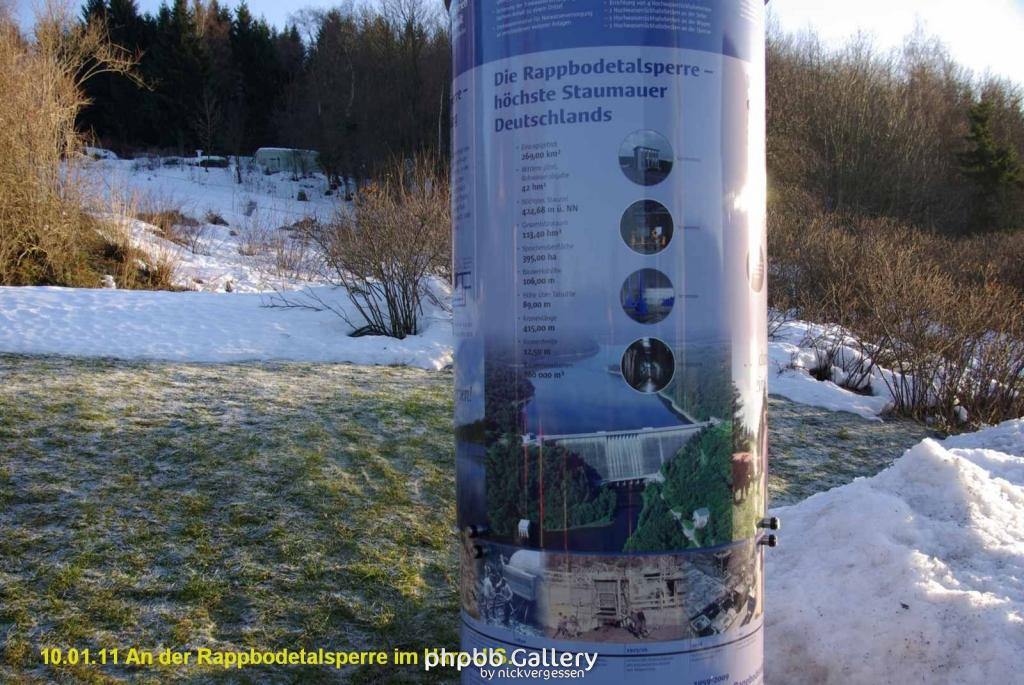 10.01.11 An der Rappbodetalsperre Harz (23)
