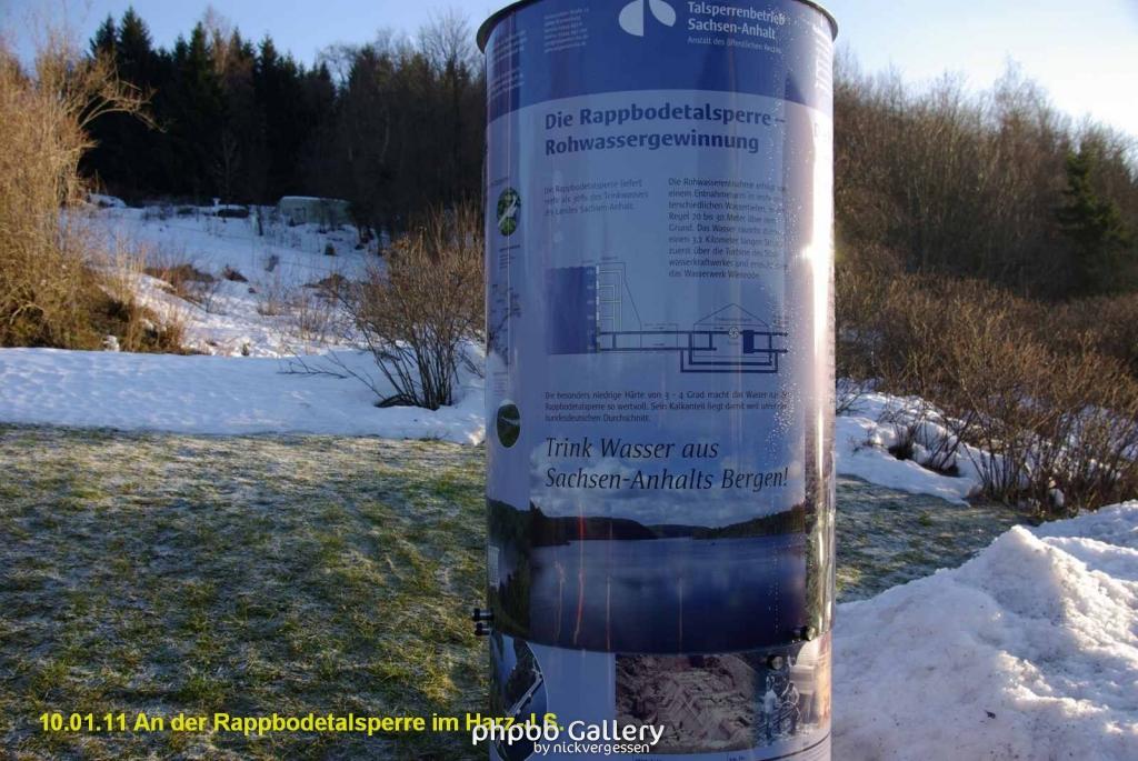 10.01.11 An der Rappbodetalsperre Harz (24)